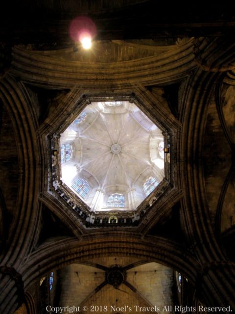 バルセロナのカテドラルの天井