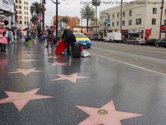 ハリウッドの『ウォーク・オブ・フェイム』でスター探し|Noel's Travels